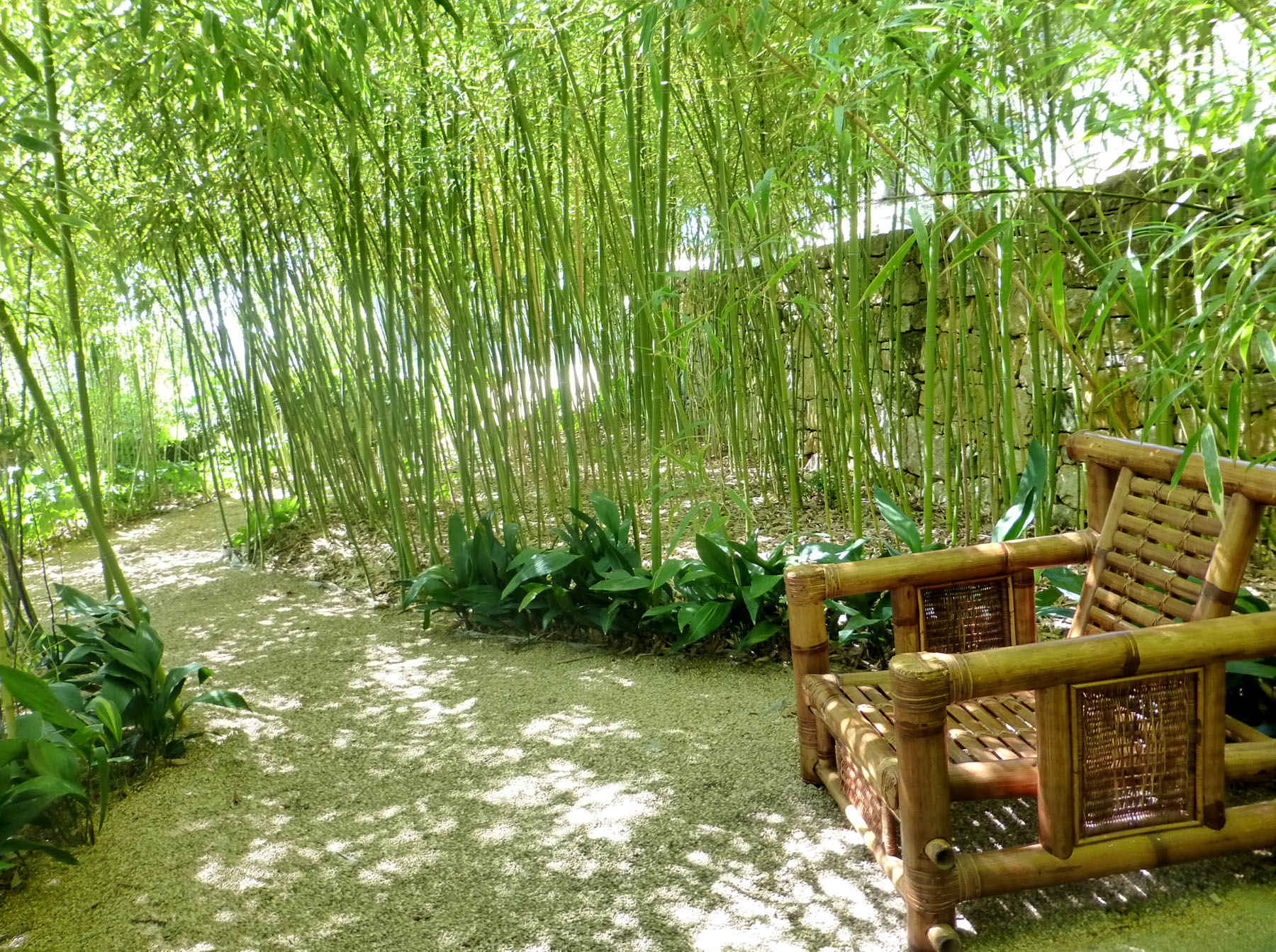 How to design a serene bamboo sanctuary without letting it take over your yard